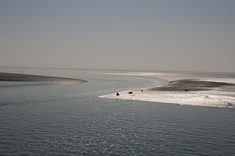 Beach-Dijkvilla Seaview Horizons Маккум Номер фото